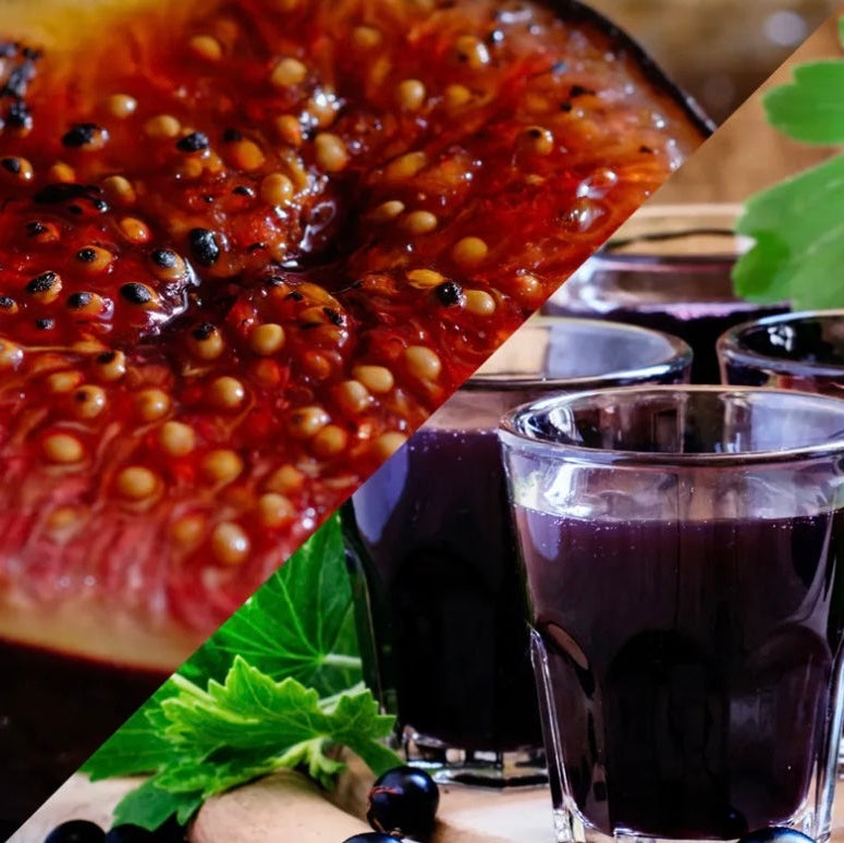 Fig & Cassis | Reed Diffuser