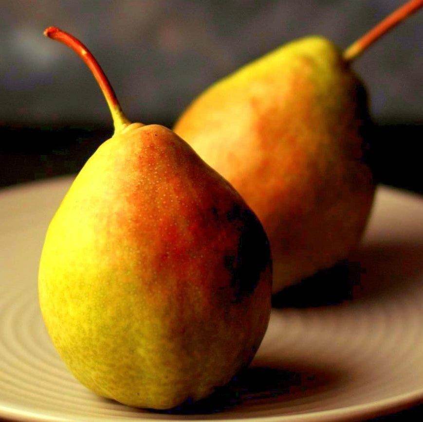 French Pear Hand Wash