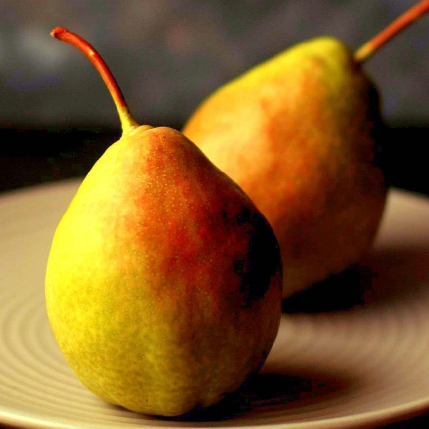 French Pear | Reed Diffuser