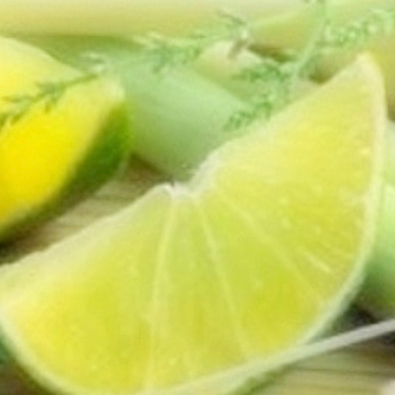 Lemongrass & Citrus Hand & Body Wash