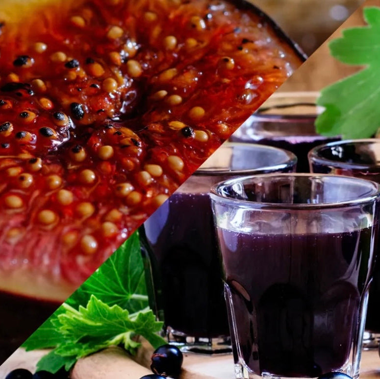 Fig & Cassis Soy Candle