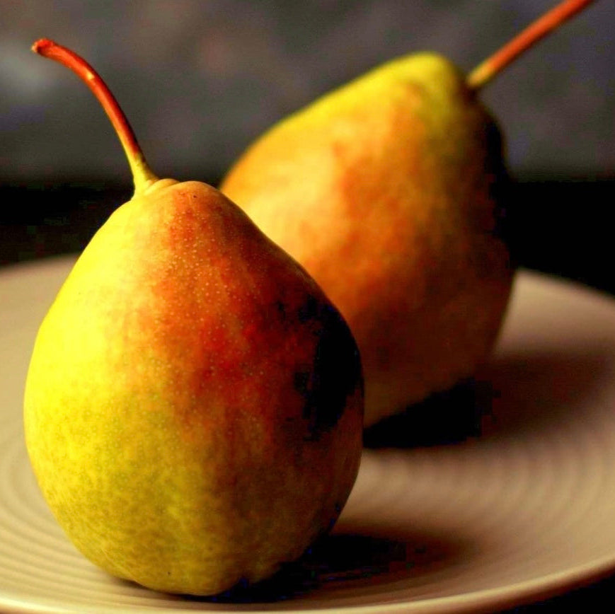 French Pear Soy Candle