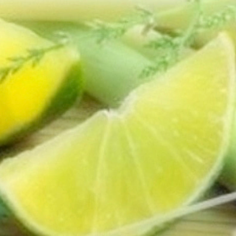 Lemongrass & Citrus Soy Wax Melts by Wax Obsession