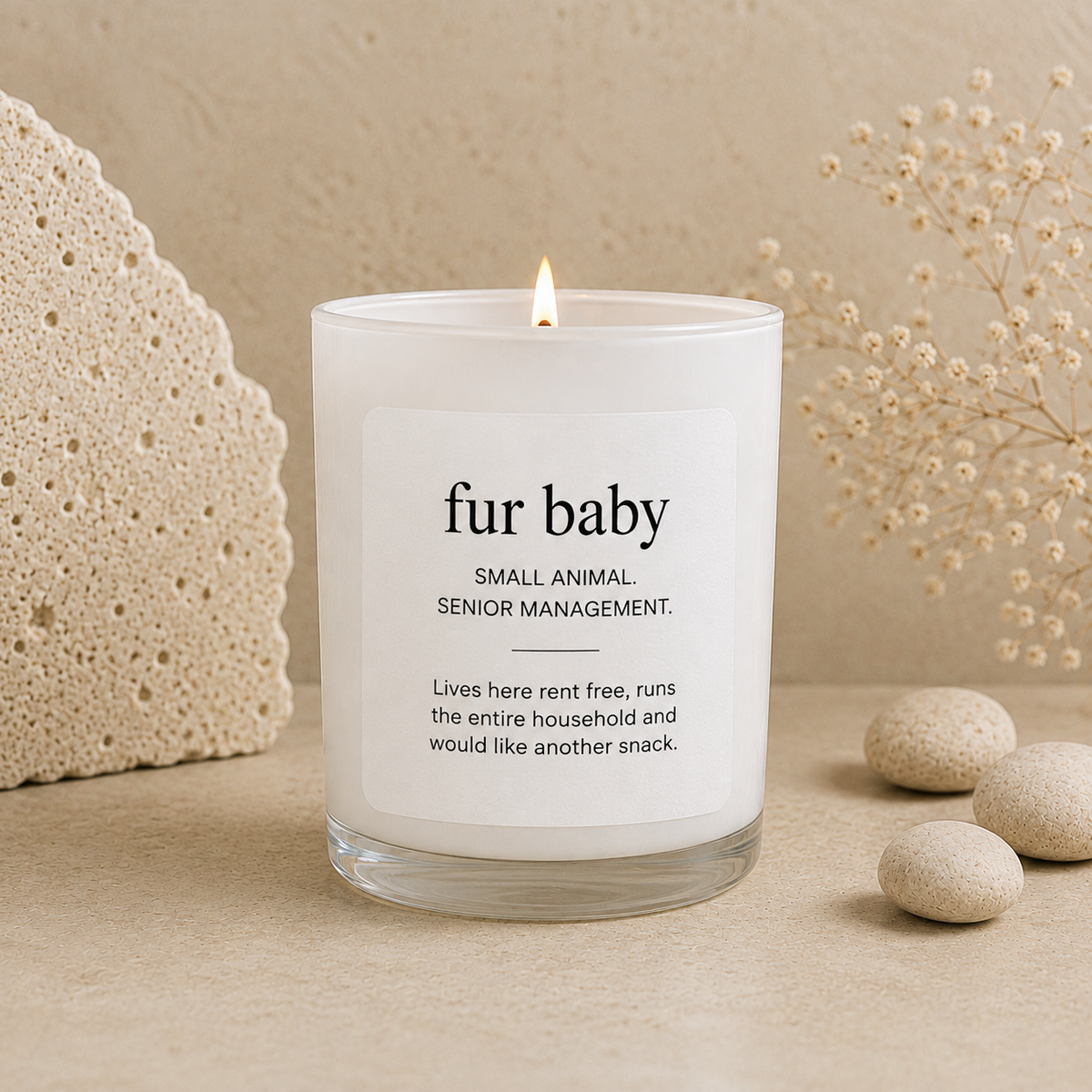 Fur Baby scented soy candle from the Wax Obsession Definition Collection